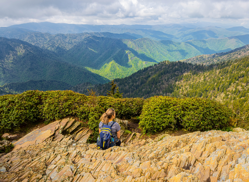 enjoying the view from high in the smokies