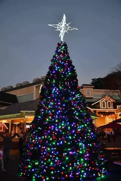 Christmas tree at Dollywood