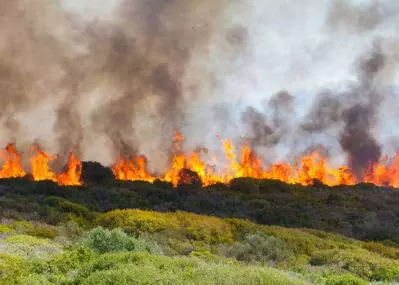 A forest fire in the mountains.
