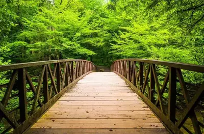 Bridge over a stream in the Great Smoky Mountains National Park