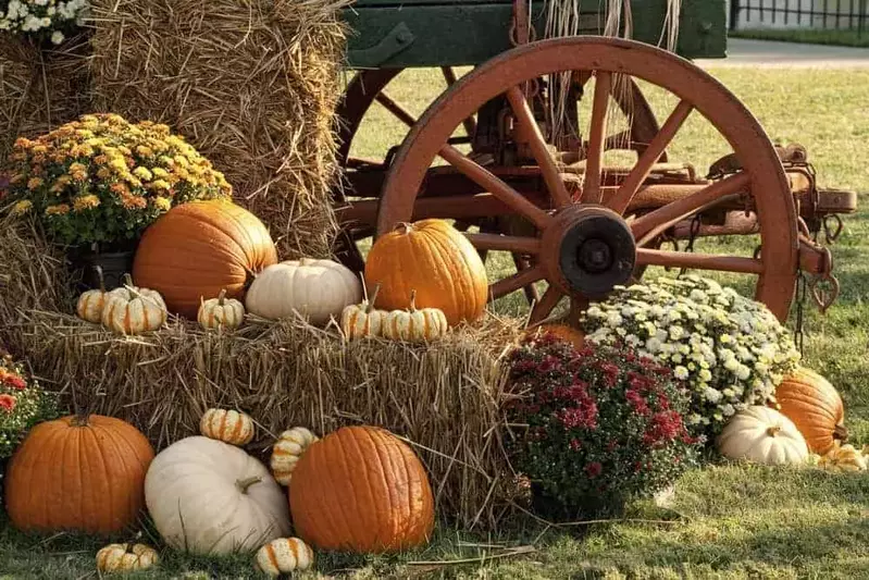 fall decorations at Wears Valley Fall Fest