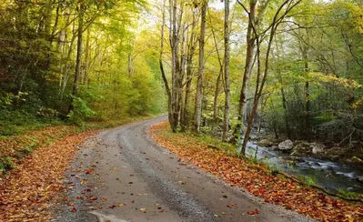 Road in the Smoky Mountains in the fall