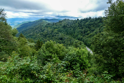 summer in the smokies