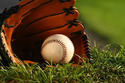 baseball glove and ball