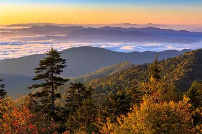 fall at Clingmans Dome in the great smoky mountains