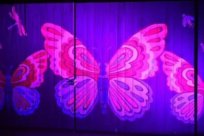 butterfly on the wall at dollywood