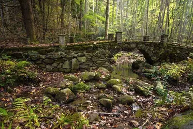 Elkmont Troll Bridge