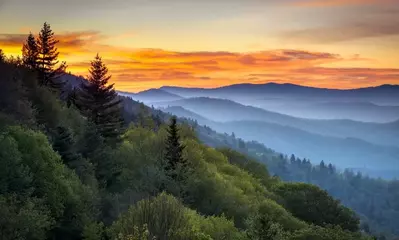 Time Magazine Features the Smoky Mountains to Celebrate 100 Years of the National Park Service