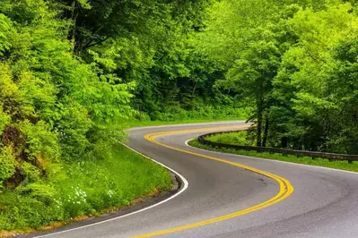 View of Newfound Gap Road curving through the national park