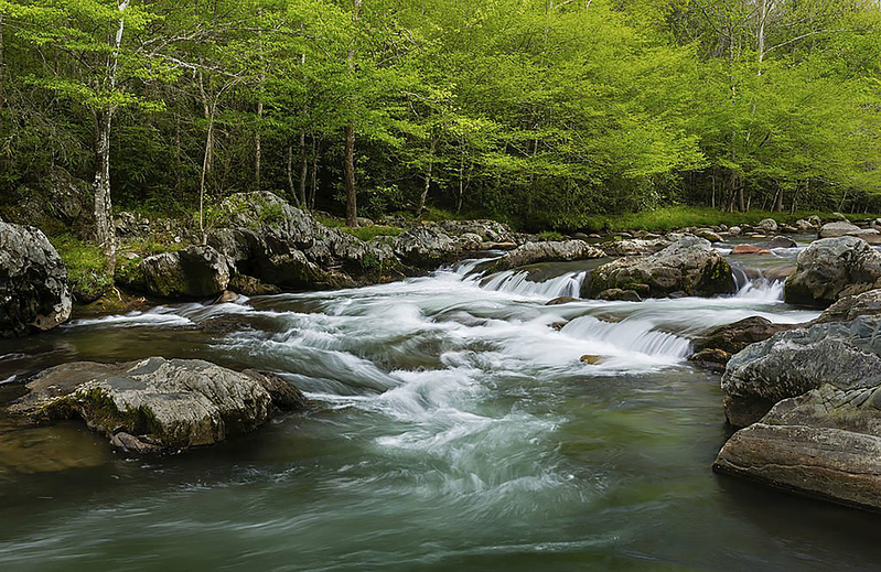water rushes over rocks in smokies stream