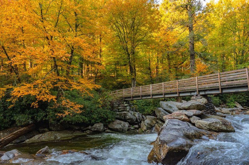 bridge over stream during fall in the smokies