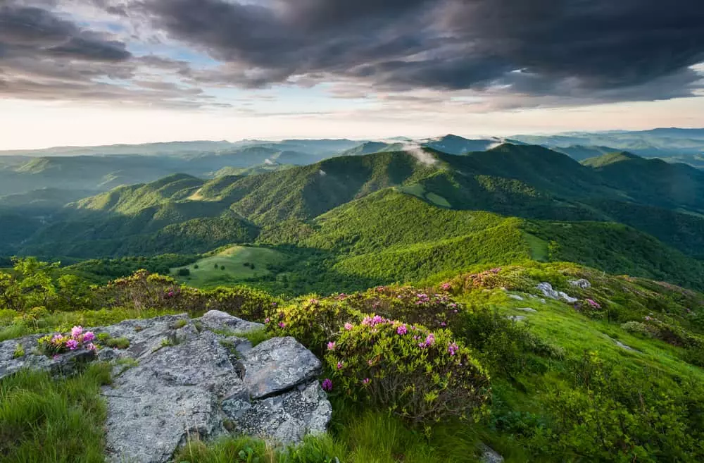 view above the Smokies