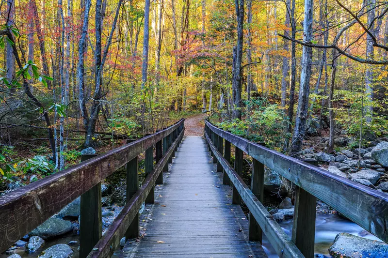 bridge on a smokies hike
