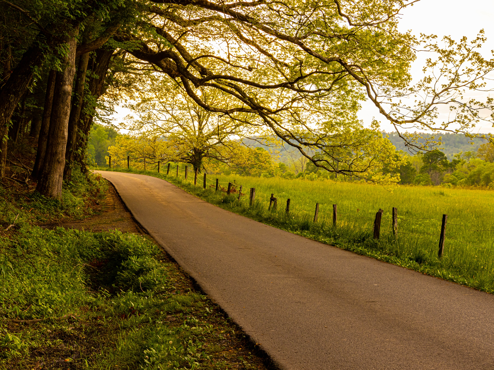 quiet road in the Smokies