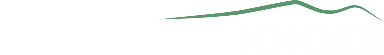 Visit_My_Smokies_logo_Color