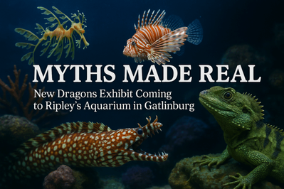 ChatGPT-Image-Jun-4-2025-10_19_11-AM-1024x683