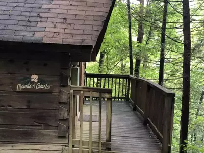 Gatlinburg Adventure Cabin - Mountain Camelia