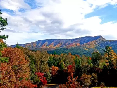 Wafloy's Steiner-Bell Lodge | Sleeps 126 (32 Private Rooms)