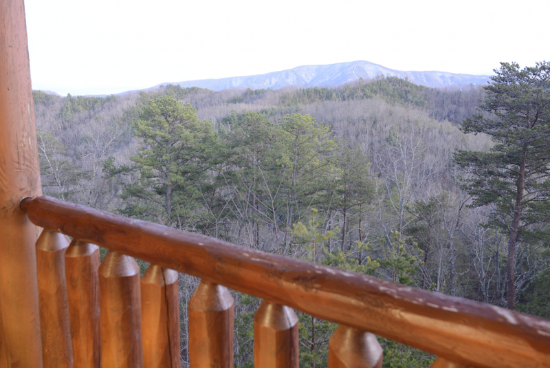 Forget Me Knot Cabin