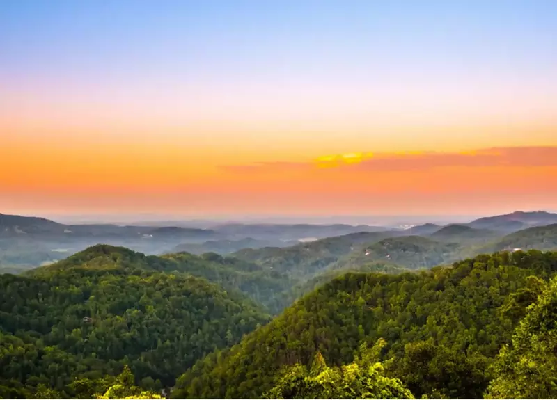 Forget Me Knot Cabin