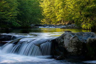 greenbrier during summer in the smoky mountains