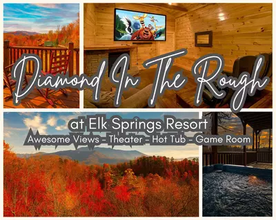 Diamond In The Rough