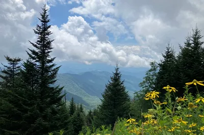 visiting Great Smoky Mountains National Park in spring