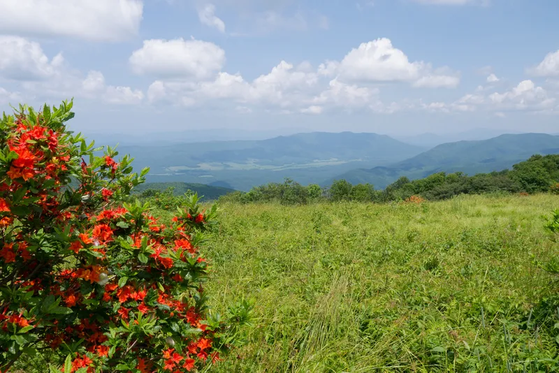 view in the Smoky Mountains in the spring