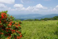 view in the Smoky Mountains in the spring
