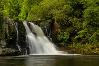 abrams falls along Abrams Falls Trail in Cades Cove