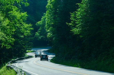 rental cars are available when you fly into the airport near Gatlinburg TN