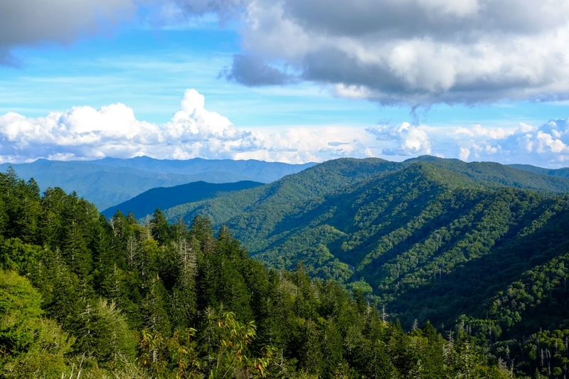 pretty smokies