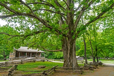 smoky mountain visitor center in cades cove