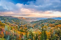 Smoky Mountains fall foliage