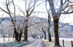 winter in cades cove