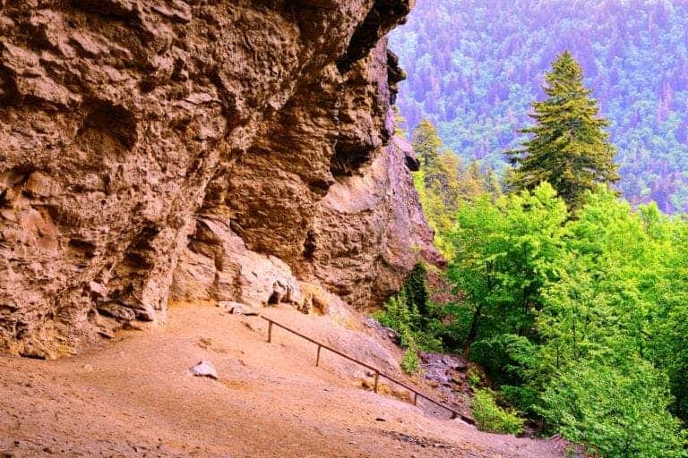 5 Special Sights to See Along the Alum Cave Trail