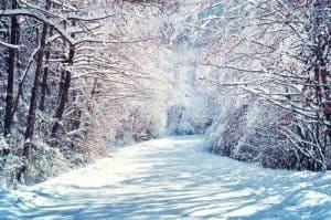 The Best Time to Find Snow in Gatlinburg for Your Winter Vacation