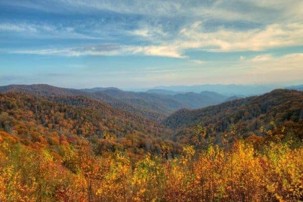 Your Ultimate Guide to the Smoky Mountains Fall Colors