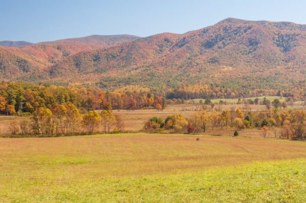 Top 5 Cades Cove Hiking Trails You Should Go On