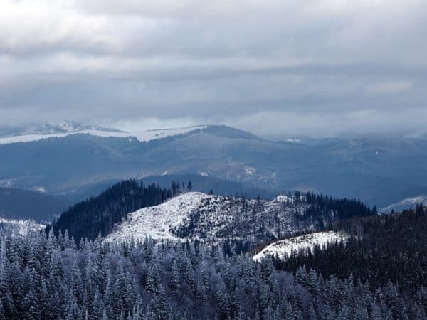 Great Smoky Mountains National Park: Now Open for Spring