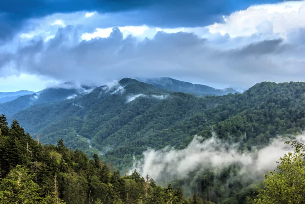 Silers Bald Hiking Trail