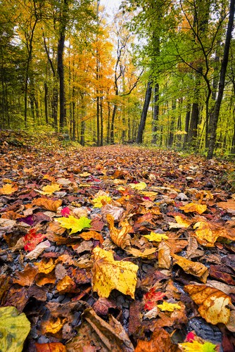 Ace Gap Hiking Trail