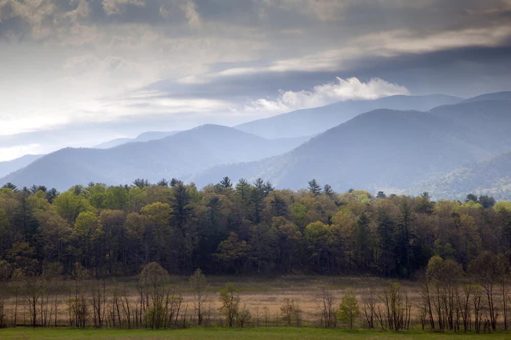 Rocky Top Hiking Trail to Thunderhead Mountain