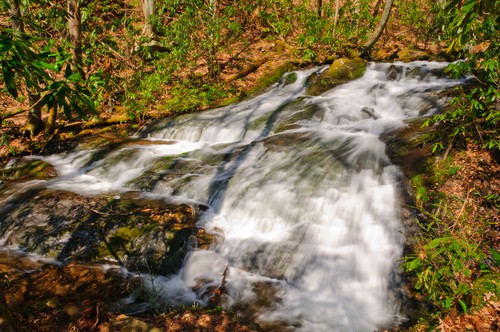 Chasteen Creek Cascade Hiking Trail