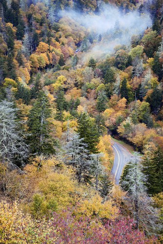 Mt. LeConte Hiking Trail from Trillium Gap