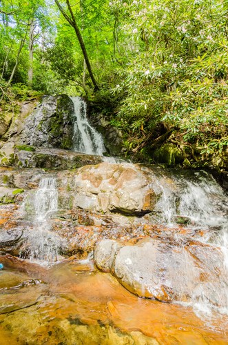 Laurel Falls Hiking Trail