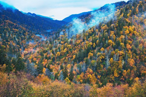 Mt. LeConte Hiking Trail from Bullhead