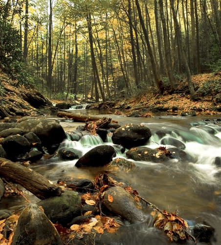 Middle Prong Hiking Trail