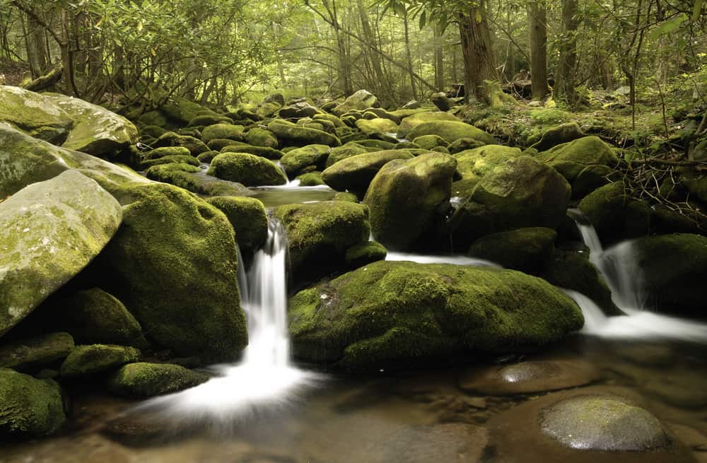 Ramsey Cascades Hiking Trail