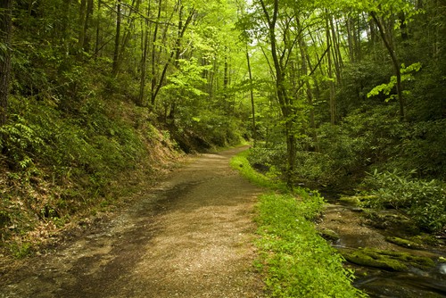 Schoolhouse Gap Hiking Trail